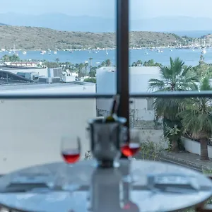 book here